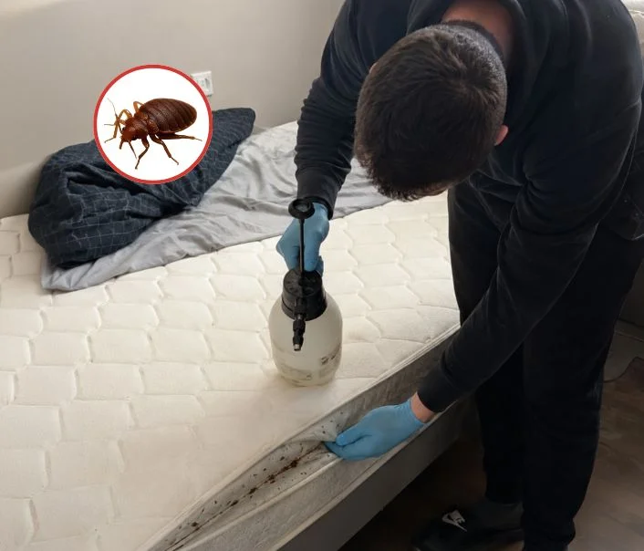 Technicien traitant un matelas contre les punaises de lit à Voisins-le-Bretonneux